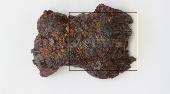 1_FRAGMENT_1_RAKET_SPRINGKOP_-_Photo_Makro1_0