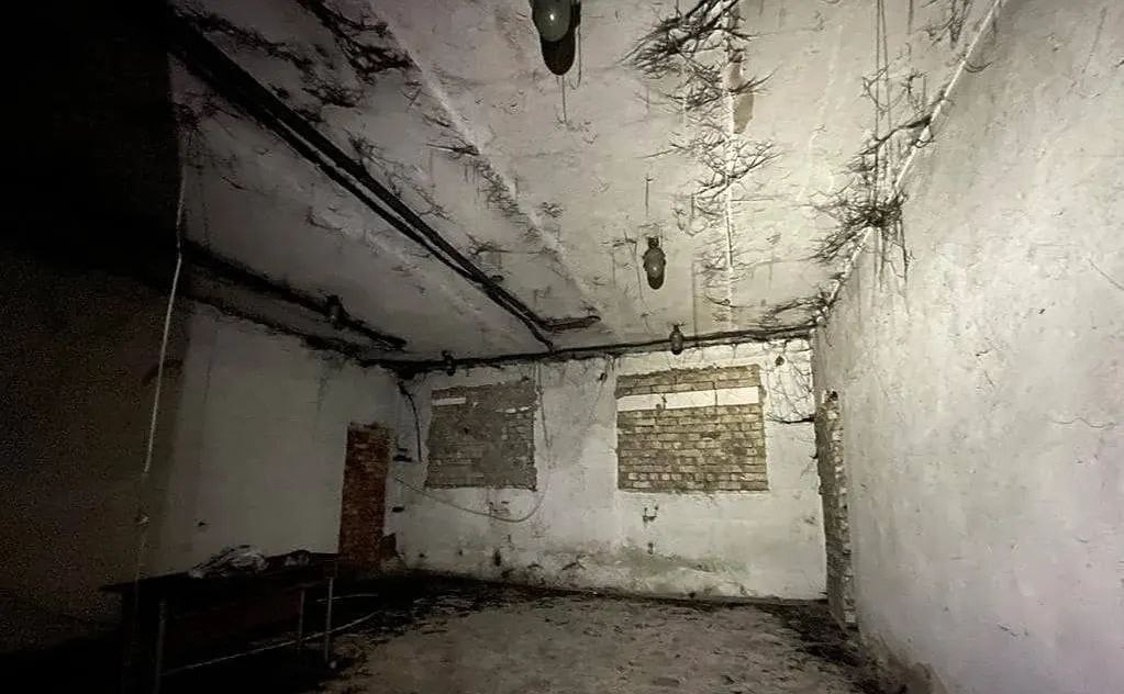 Миниатюра 3