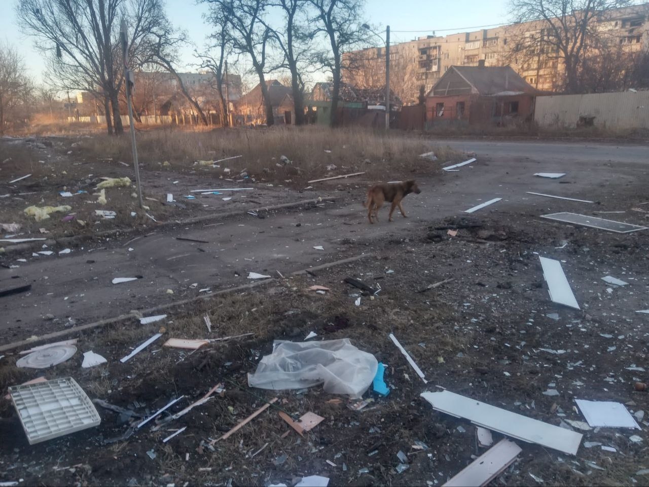 Миниатюра 3