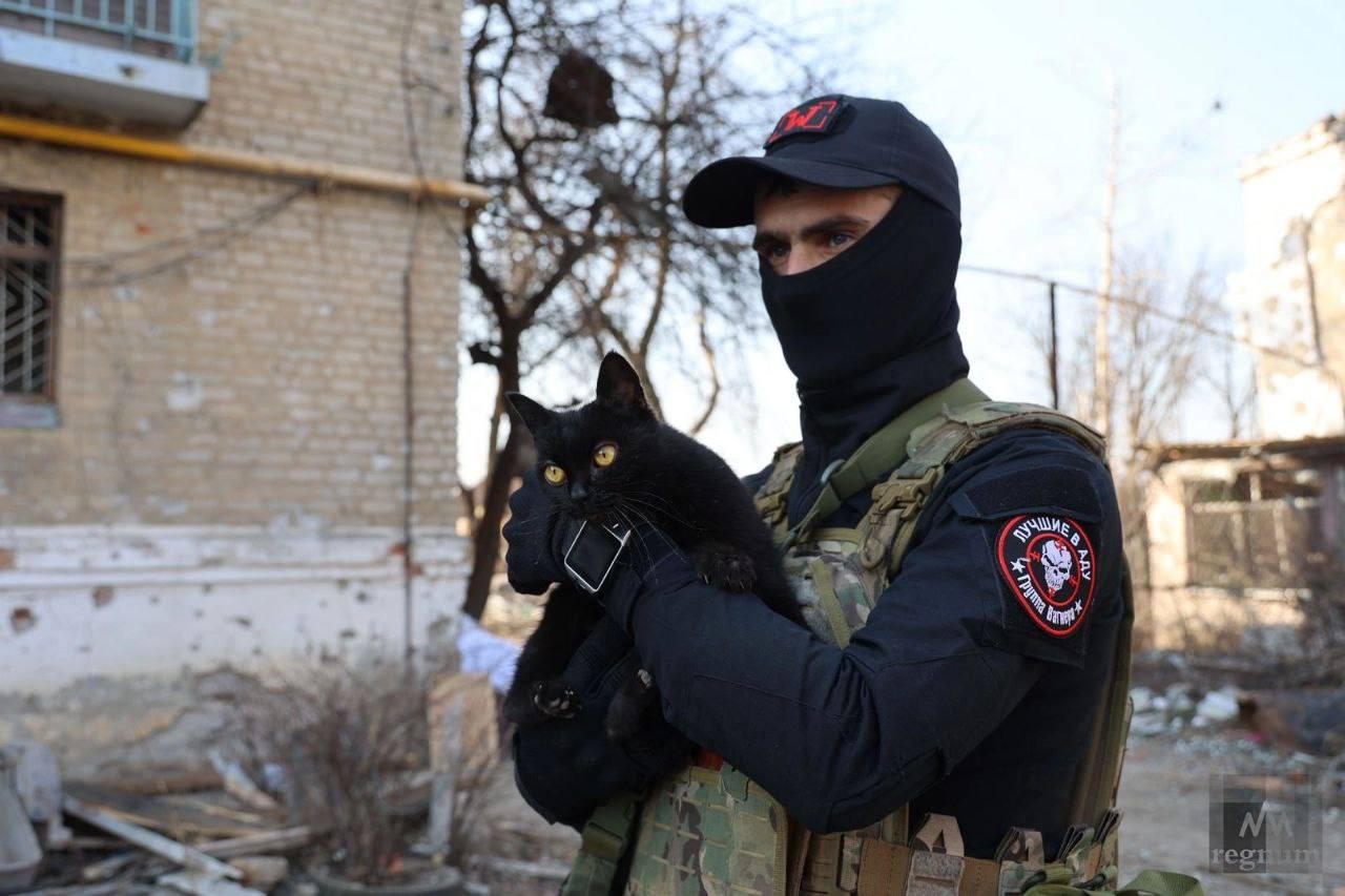 Миниатюра 6