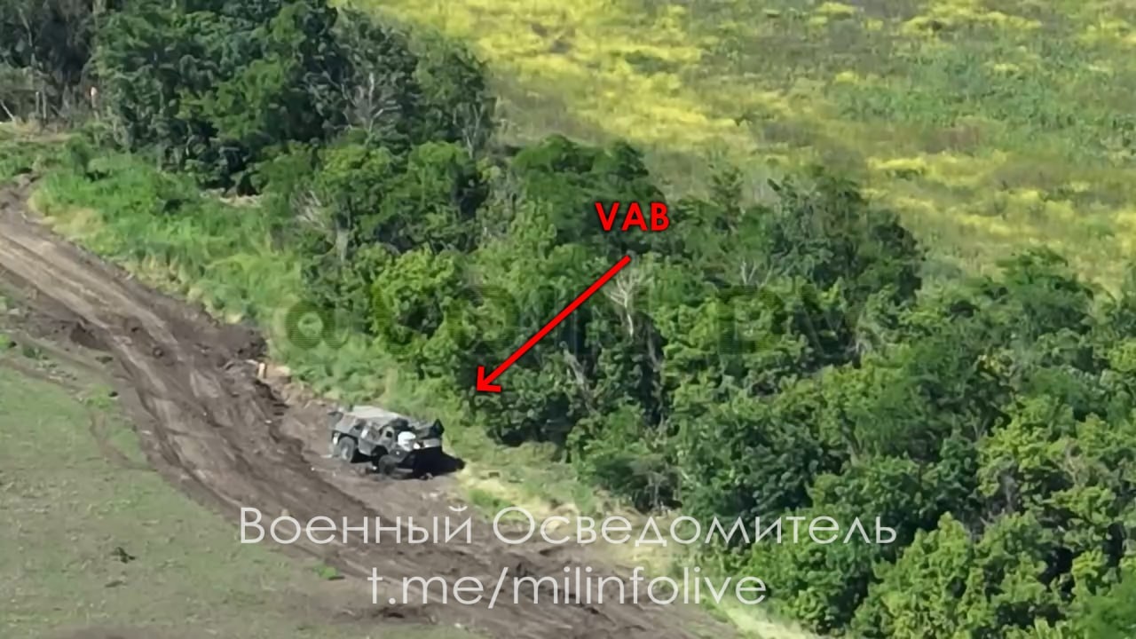 Миниатюра 8