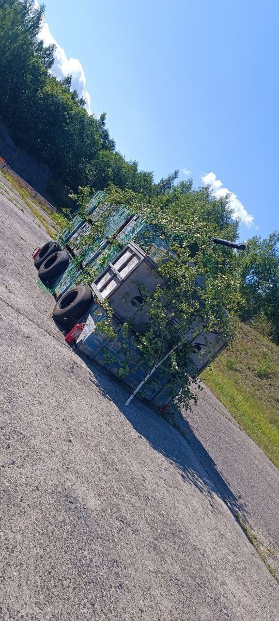 Миниатюра 3