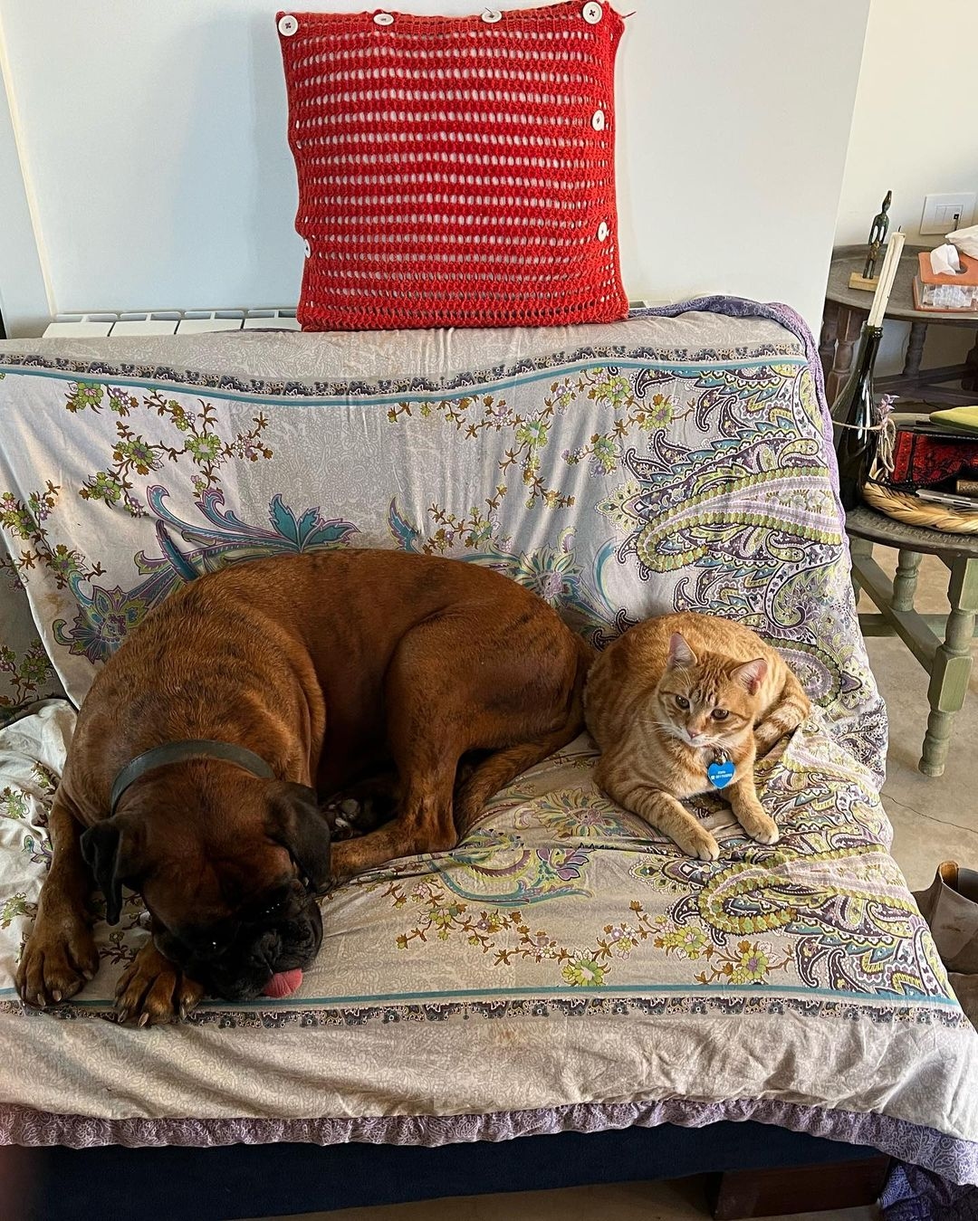 Миниатюра 3