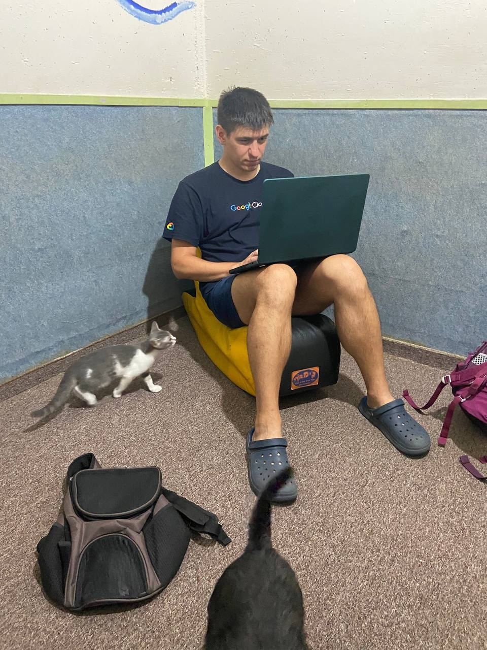 Иллюстрация к материалу