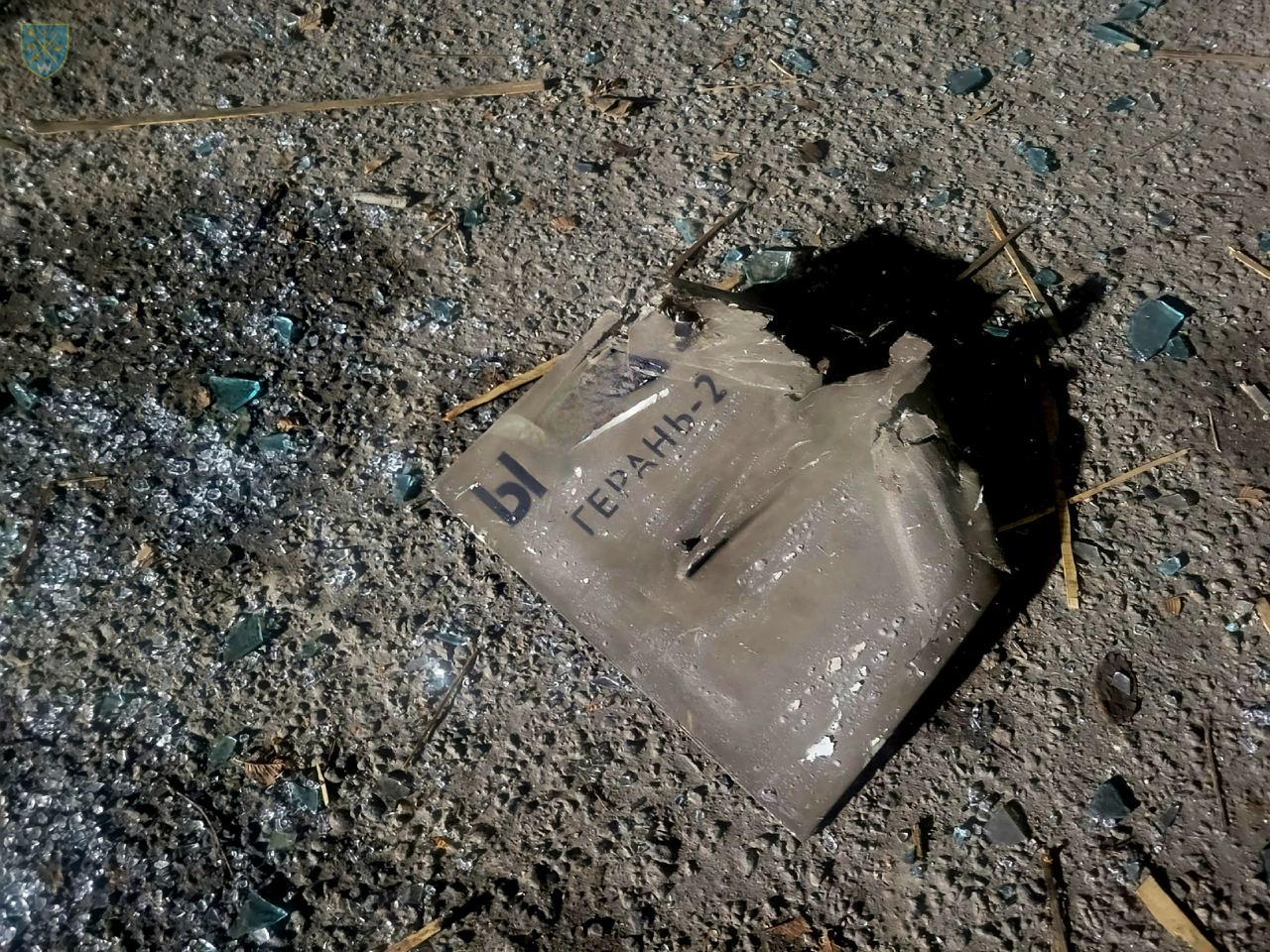 Миниатюра 6