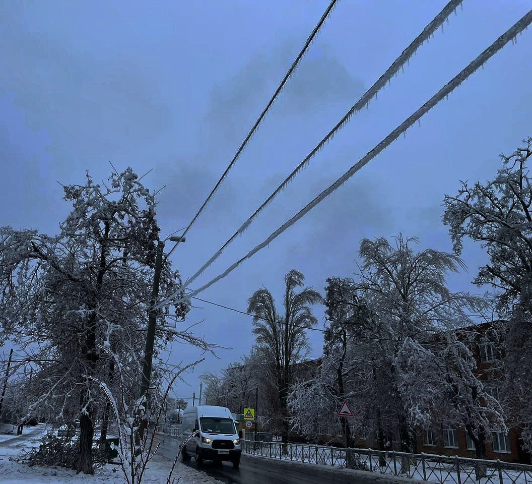 Изображение из галереи