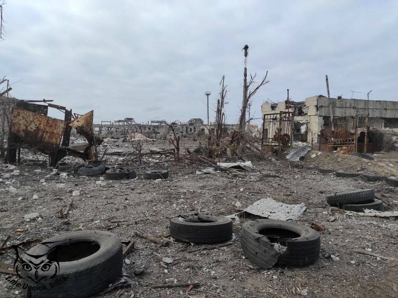 Миниатюра 7