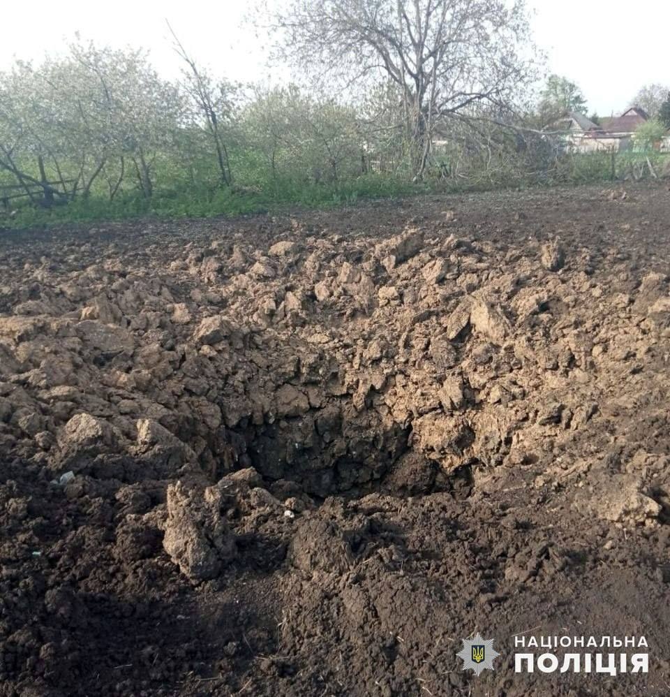 Изображение из галереи