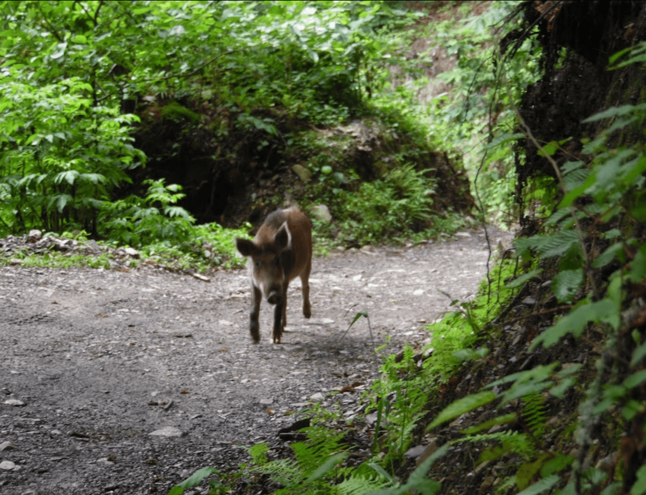 Миниатюра 9