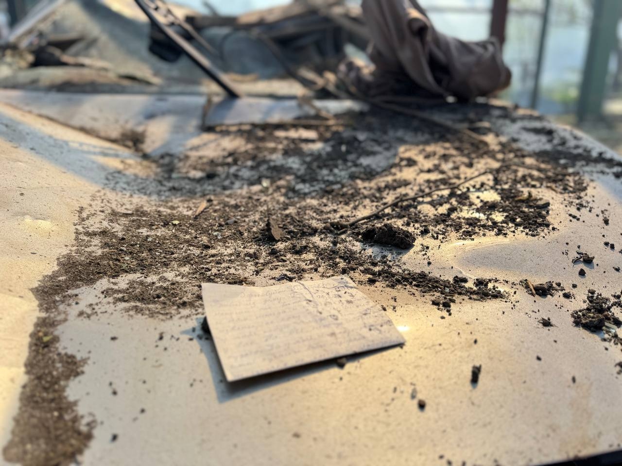 Миниатюра 5