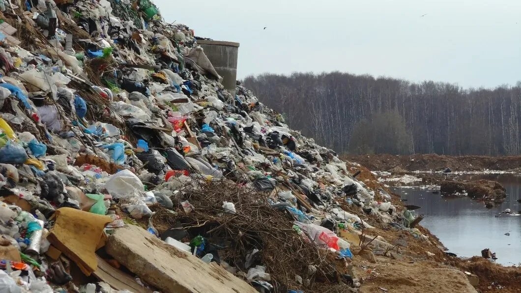 Фото свалки «Воловичи» из социальных сетей