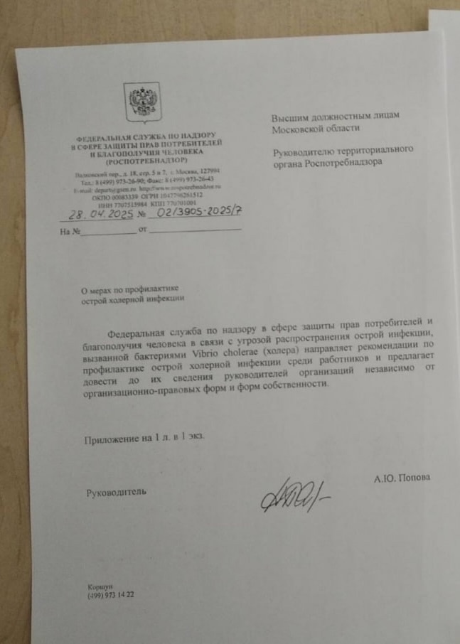 Изображение из галереи