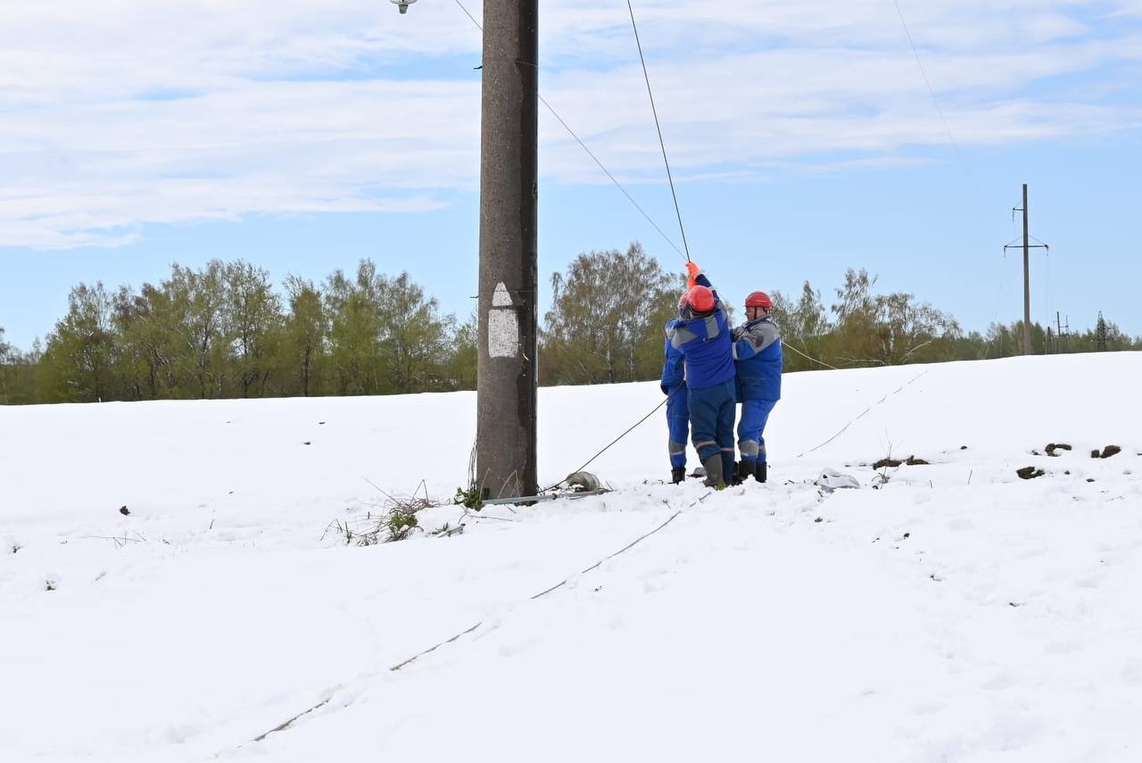 Последствия майского снегопада в Подмосковье