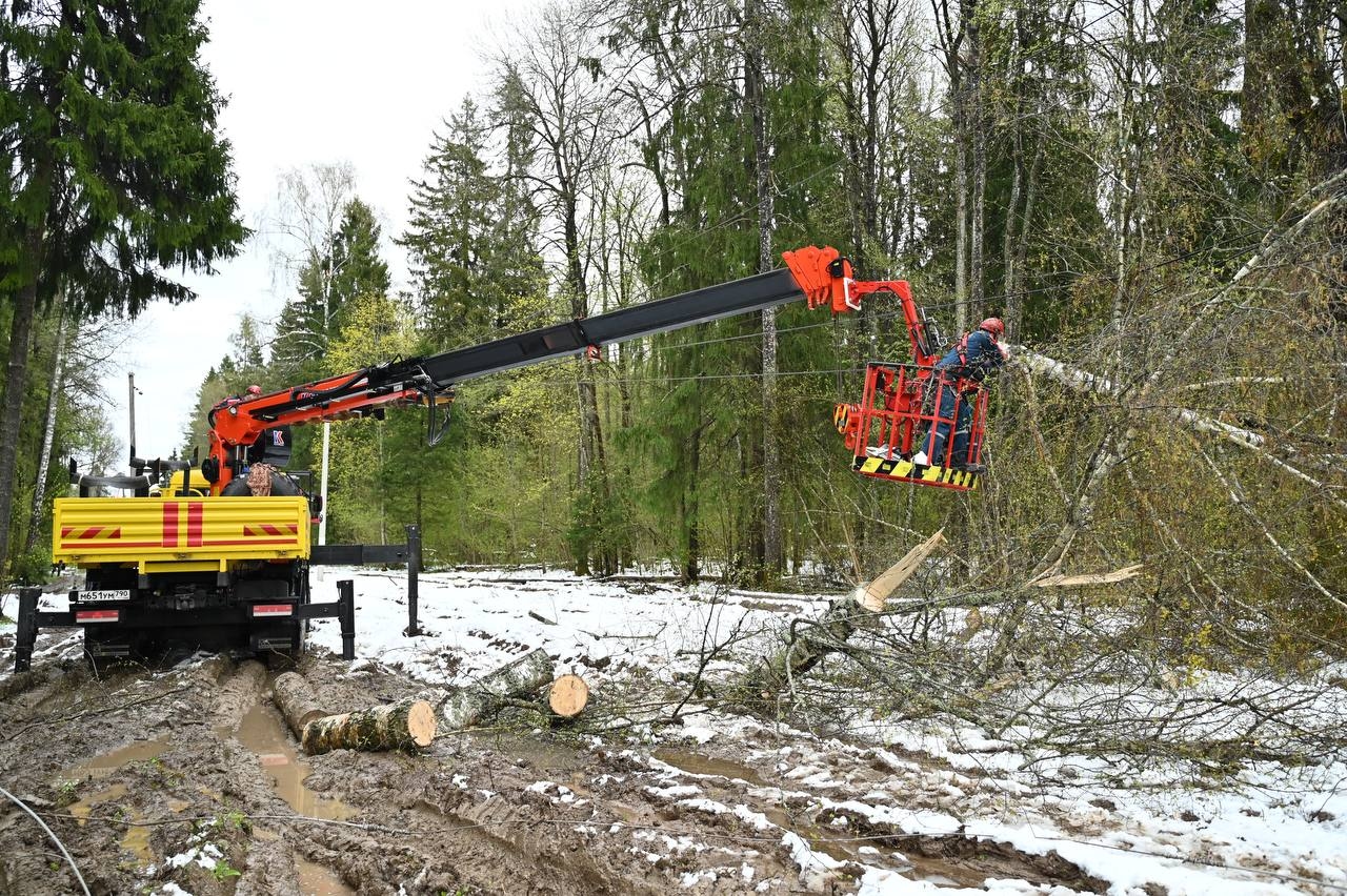 Миниатюра 3