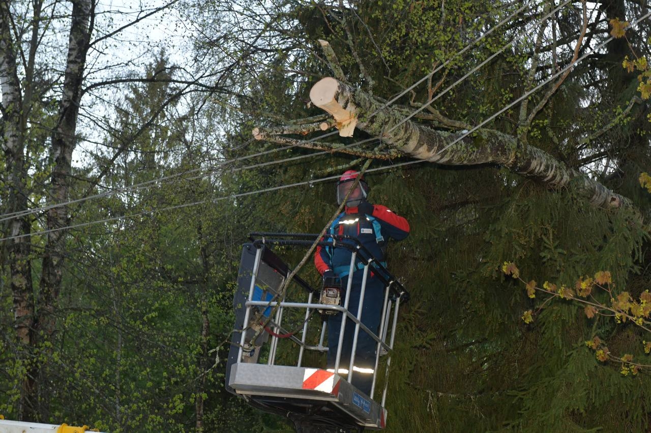 Миниатюра 4