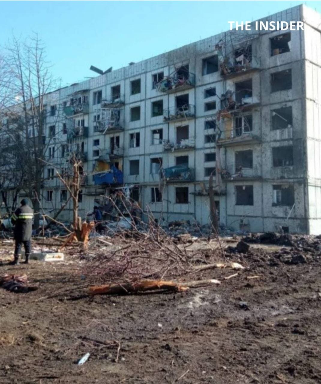 Иллюстрация к материалу