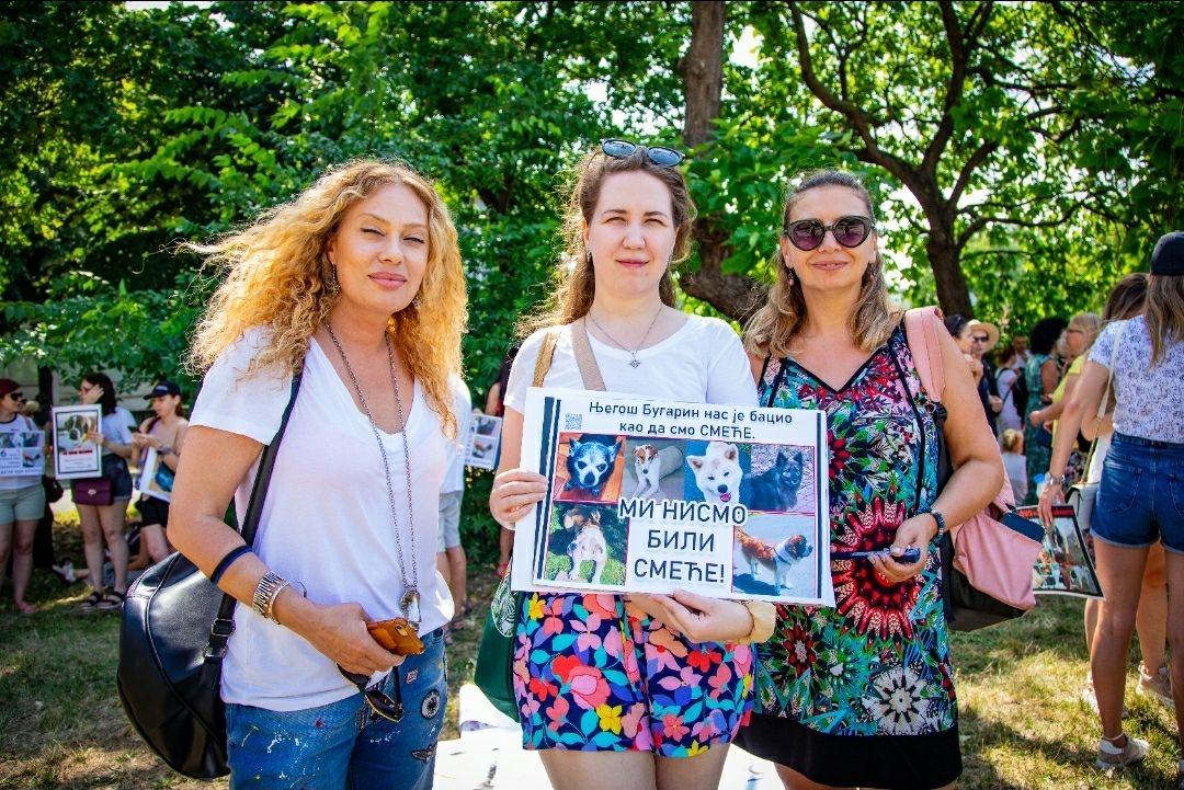 Митинг хозяев собак и волонтеров