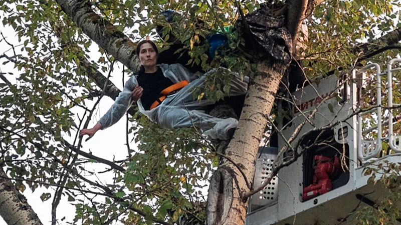 Фото: Alec Sander / SOTA