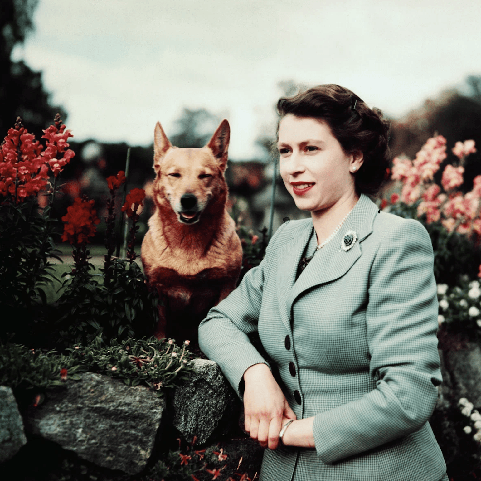 Миниатюра 4