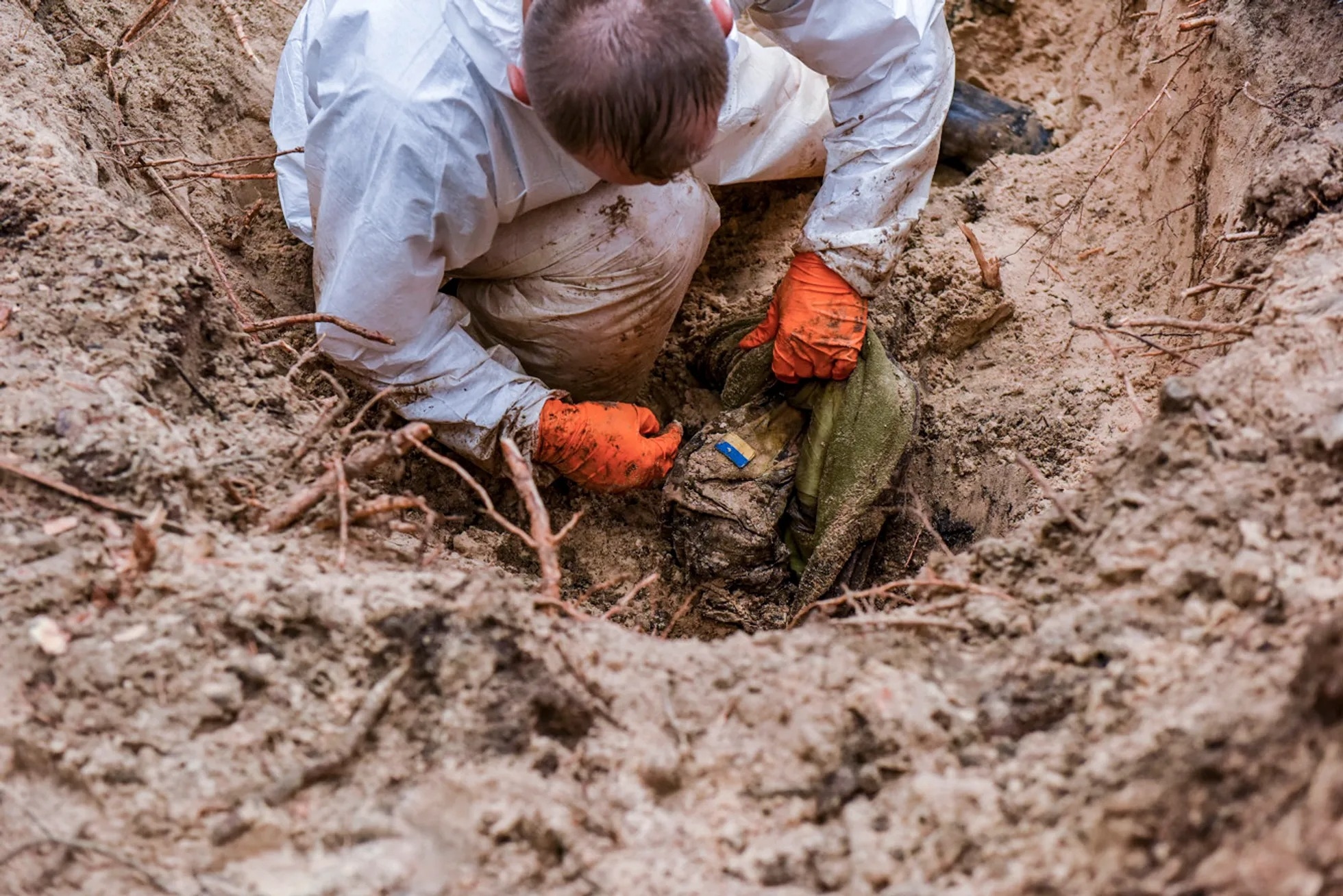 Миниатюра 4