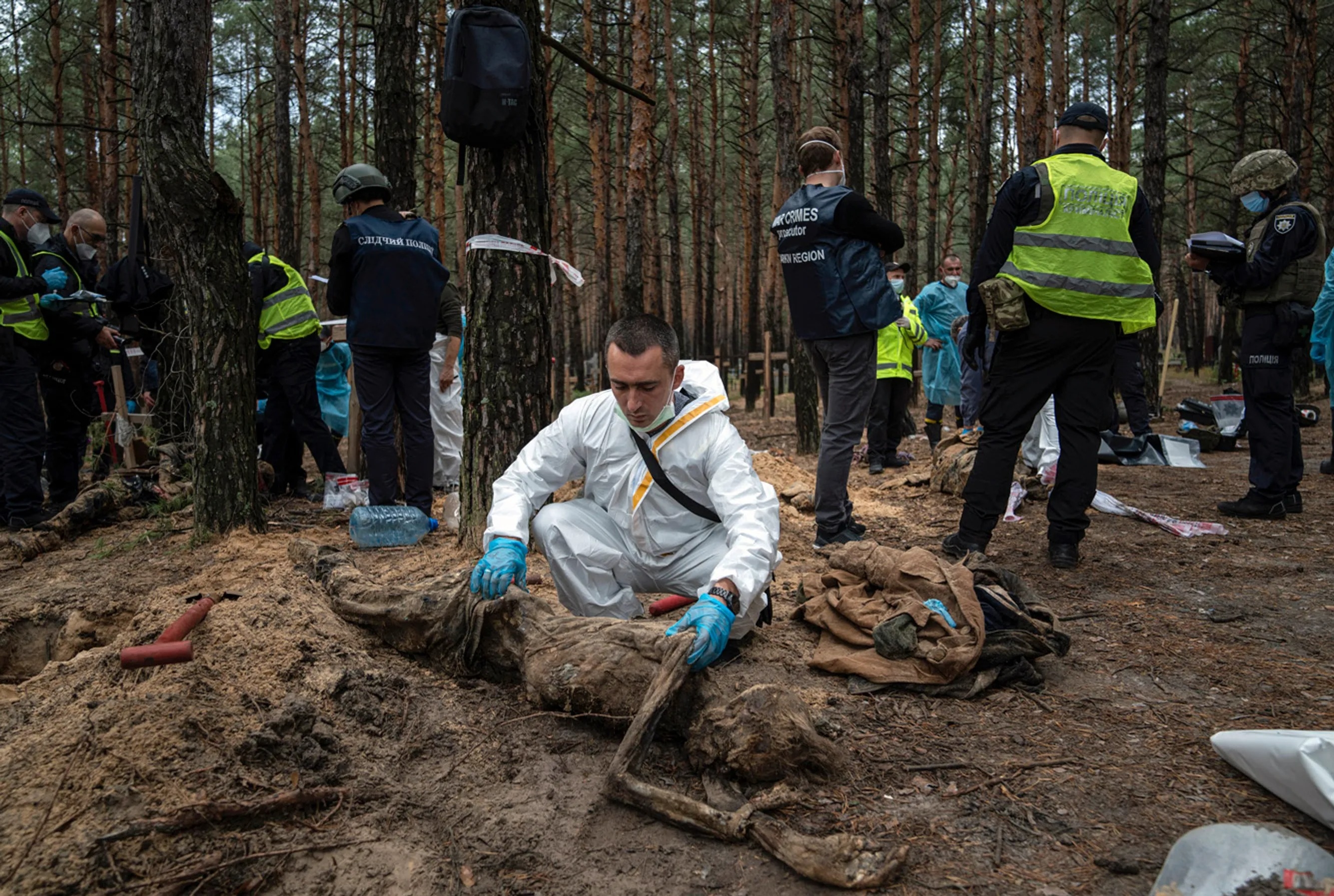 Миниатюра 5