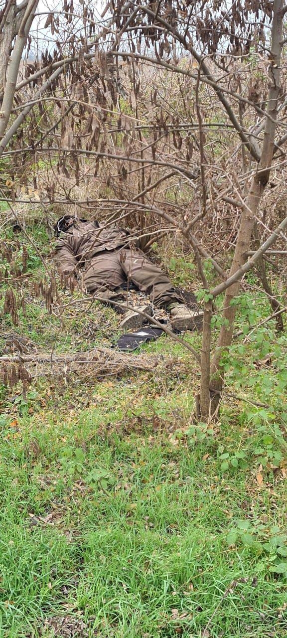 Миниатюра 6