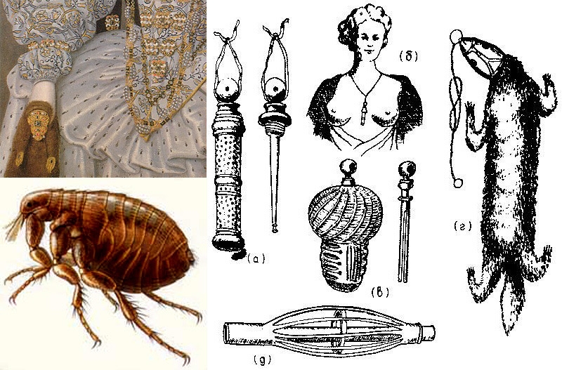 Блохоловки
