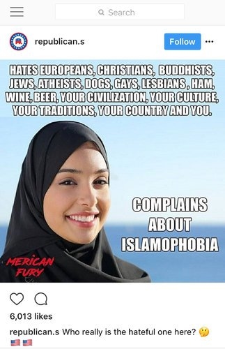 Текст на фото: "Ненавидит европейцев, христиан, буддистов, евреев, атеистов, собак, геев, лесбиянок, ветчину, вино, пиво, вашу цивилизацию, вашу культуру, ваши традиции, вашу страну и вас. Жалуется на исламофобию".
