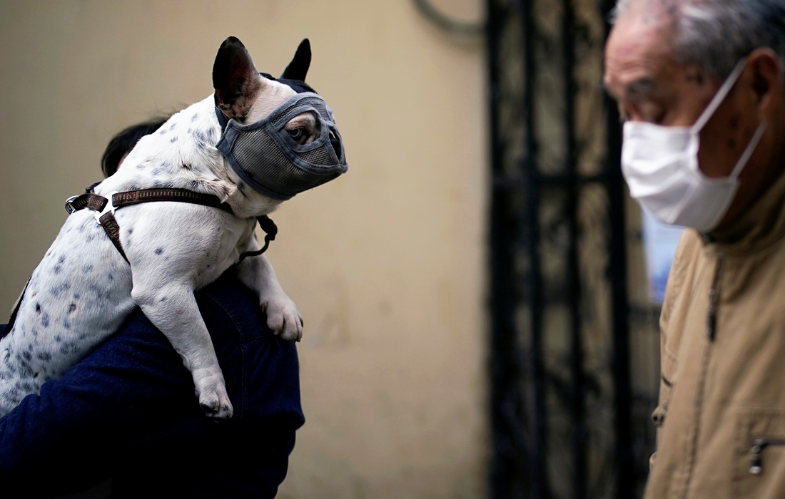 Иллюстрация к материалу