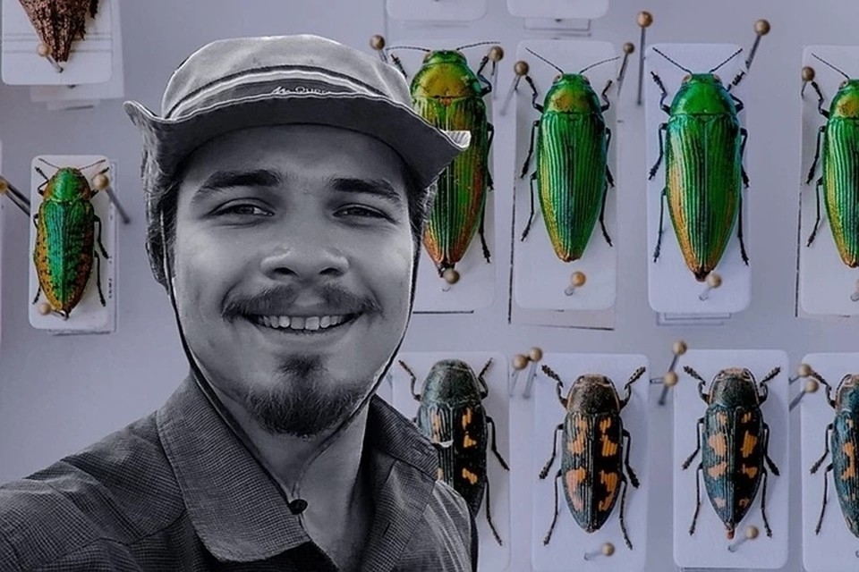 Иллюстрация к материалу