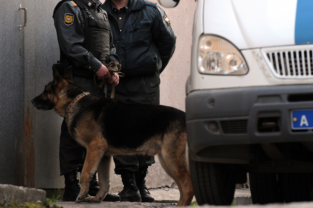 Иллюстрация к материалу