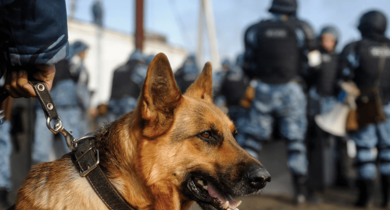 Иллюстрация к материалу