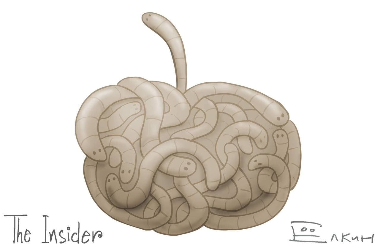 Иллюстрация к материалу