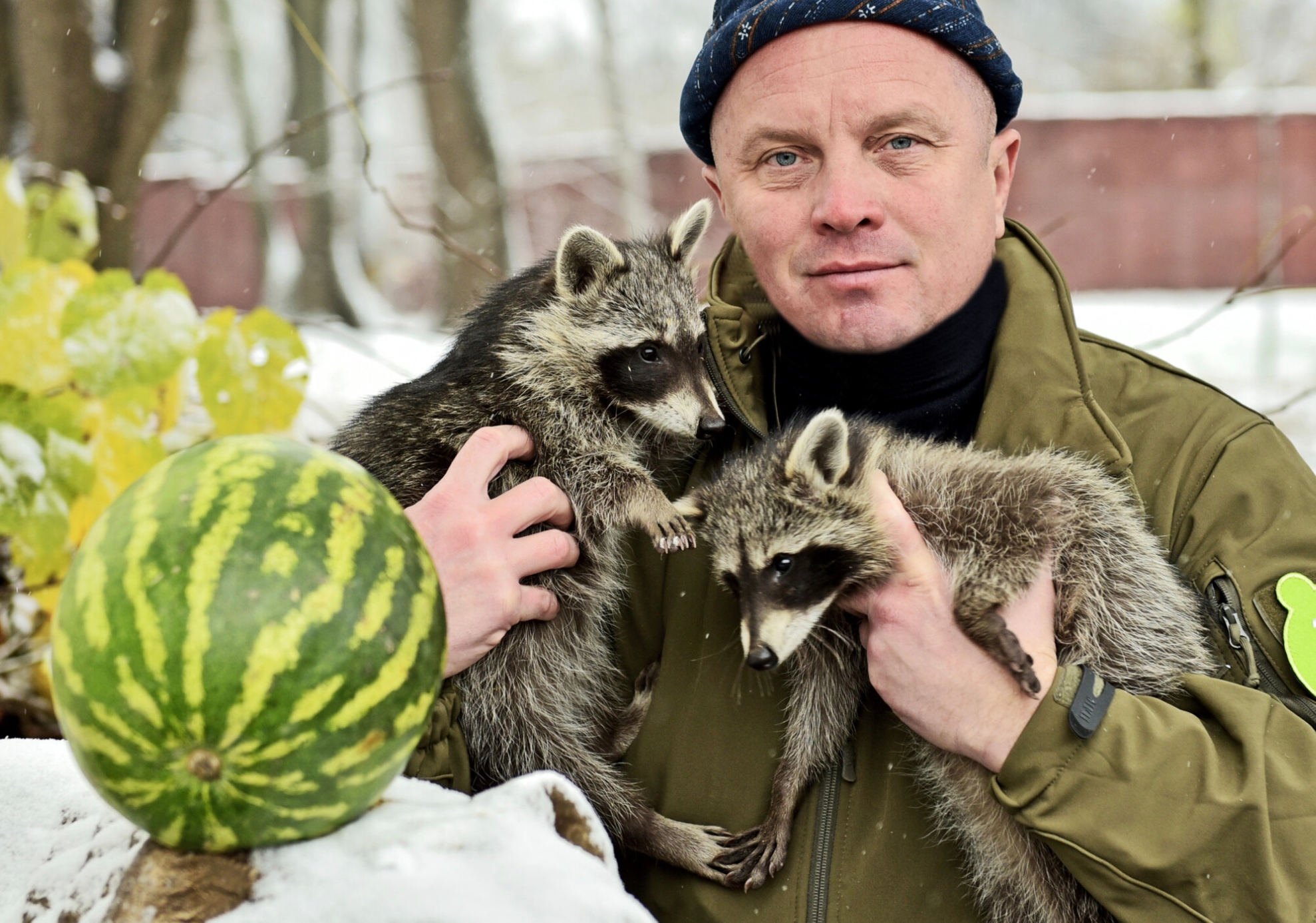 Иллюстрация к материалу