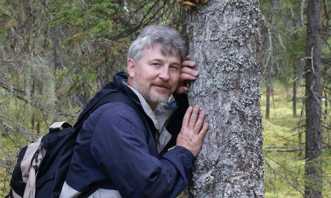 Иллюстрация к материалу