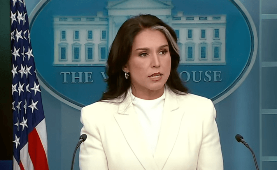 Тулси Габбард / Фото: скриншот видео Белого дома