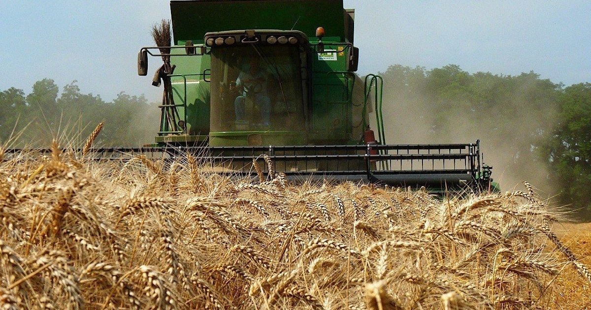 Фото: пресс-служба администрации Краснодарского края