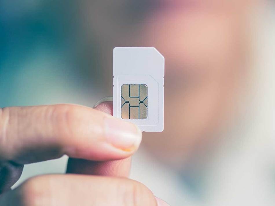 Фото: Shutterstock