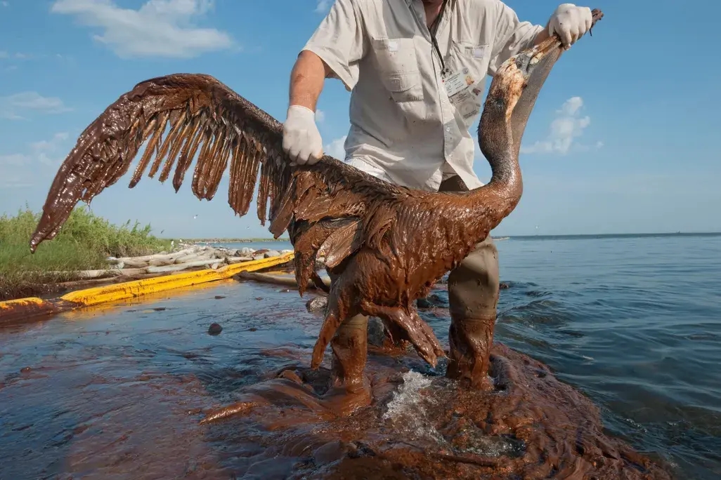 Фото: Joel Sartore/National Geographic Creative/Corbis