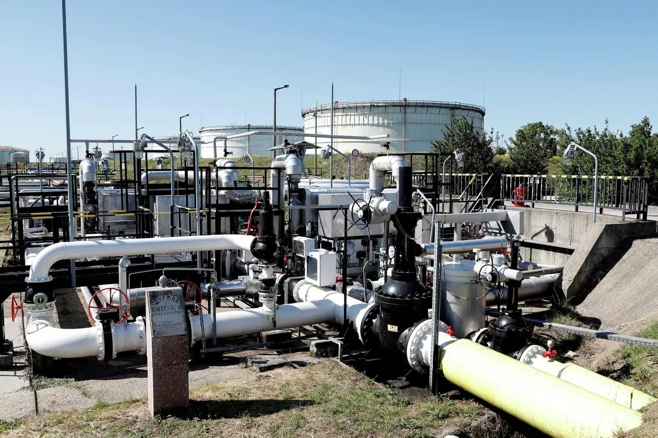 Фото: REUTERS / Bernadett Szabo