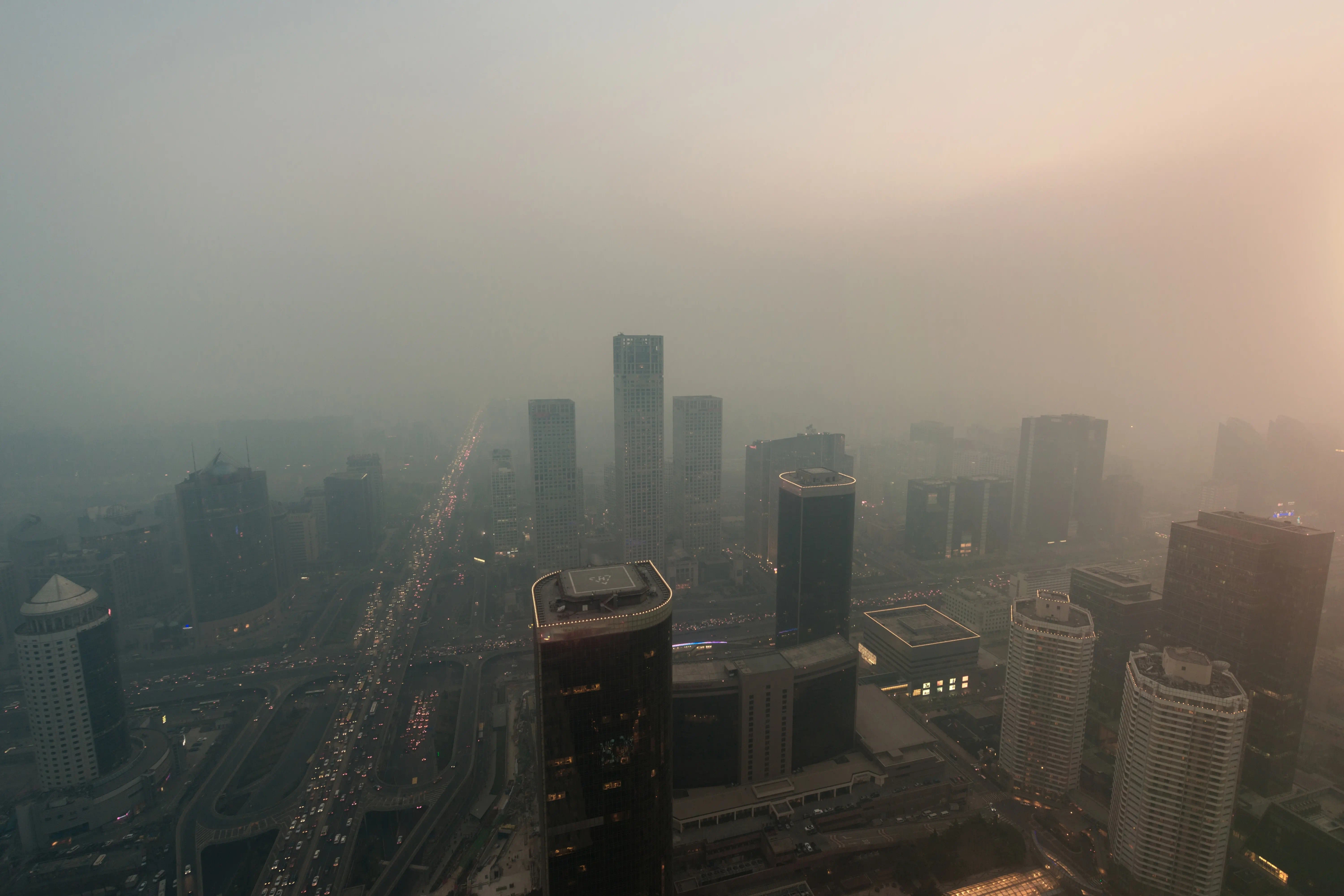 Фото: Wenjie Dong / Getty Images