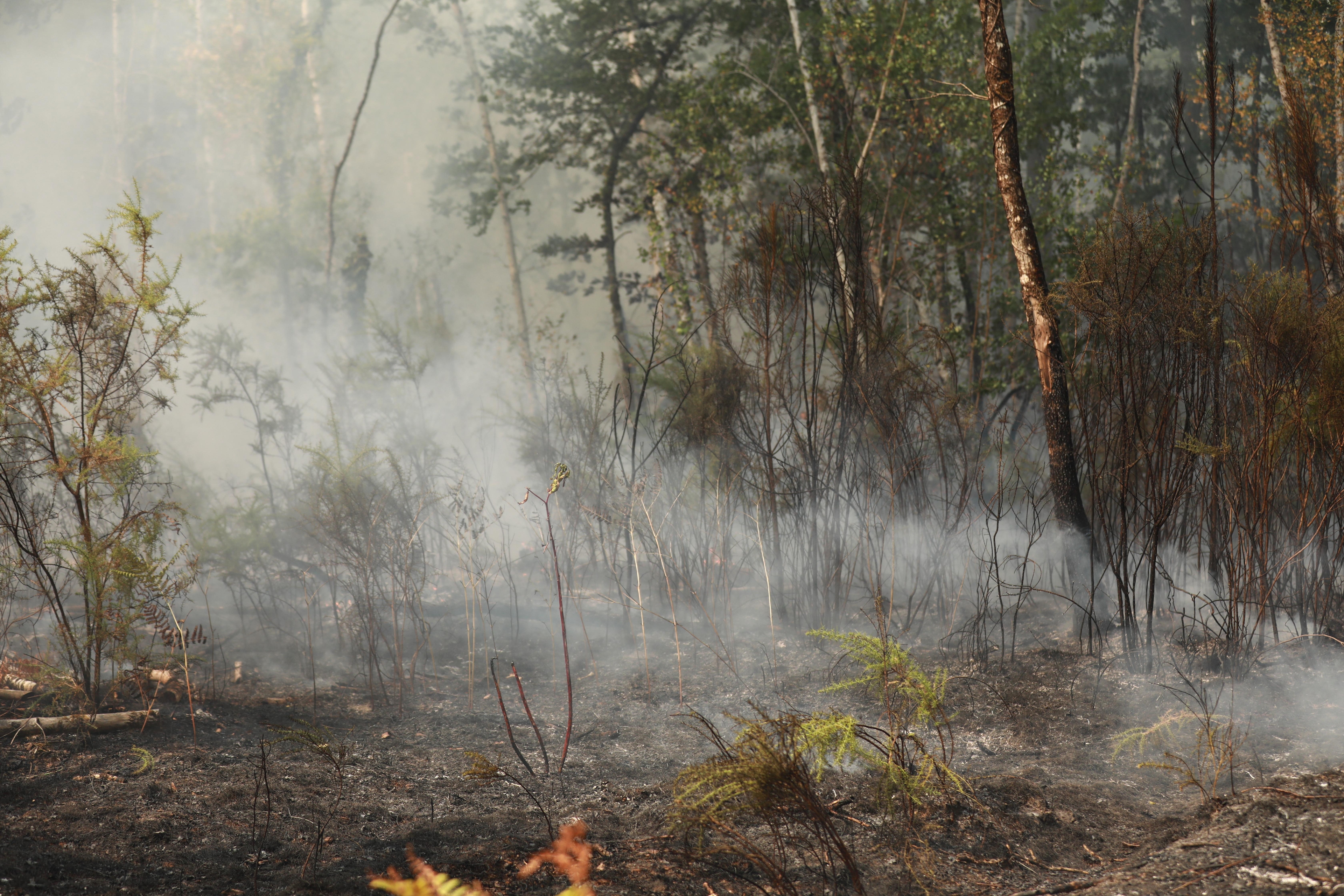 Фото: Anadolu via Reuters Connect