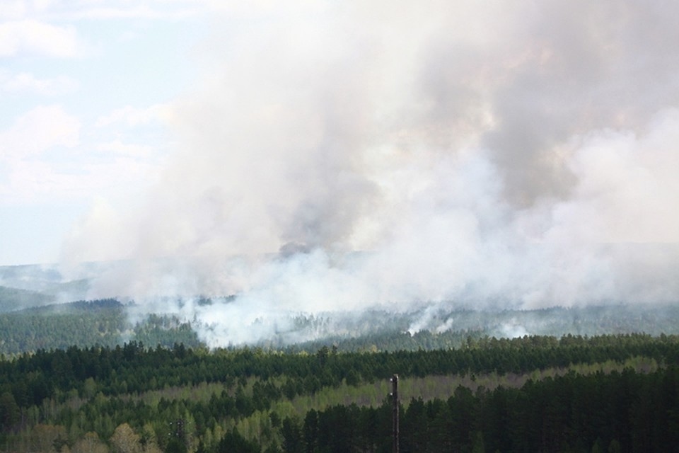 Иллюстрация к материалу