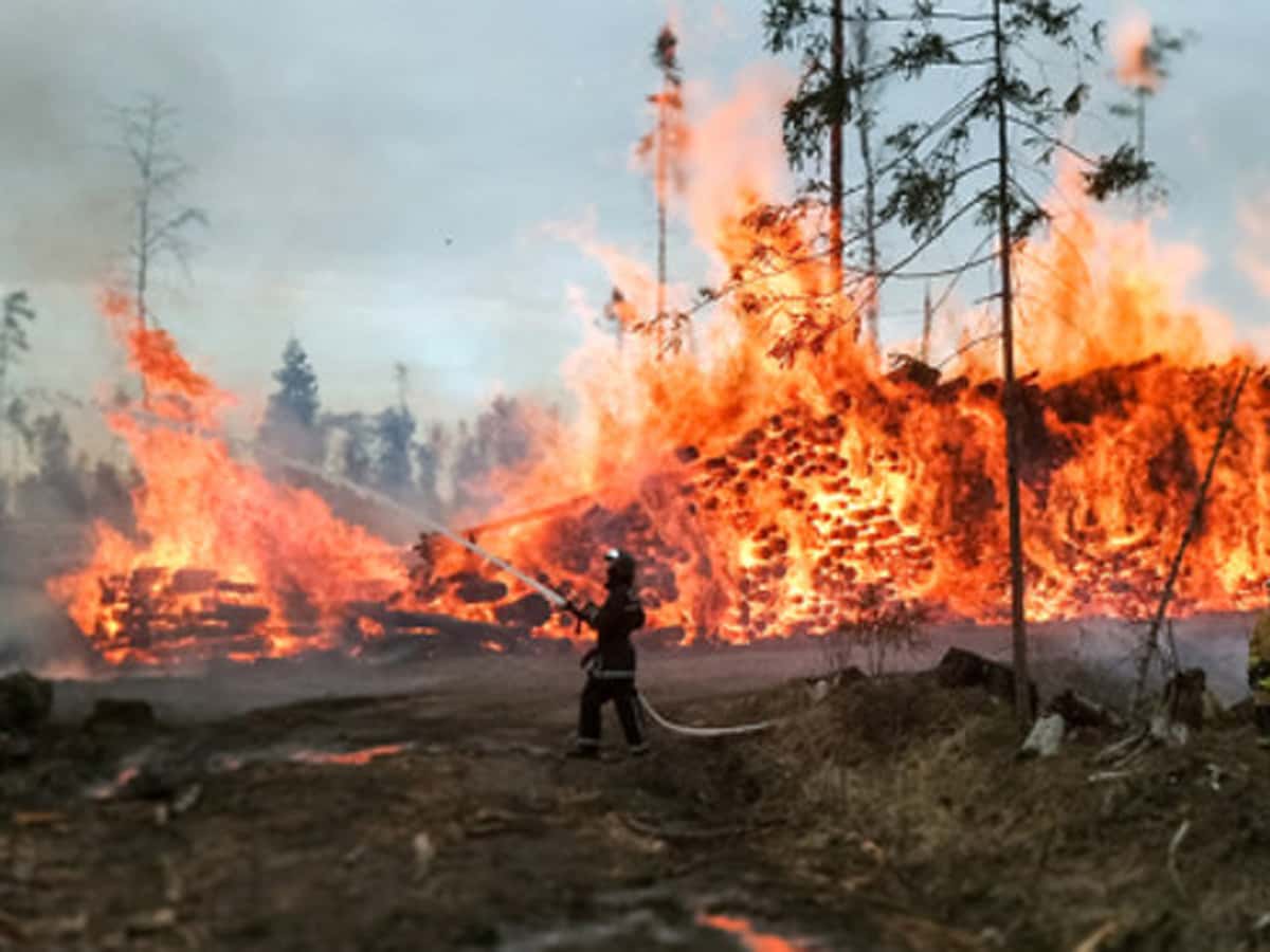 Ущерб от лесных пожаров в Якутии превысил 1 млрд рублей