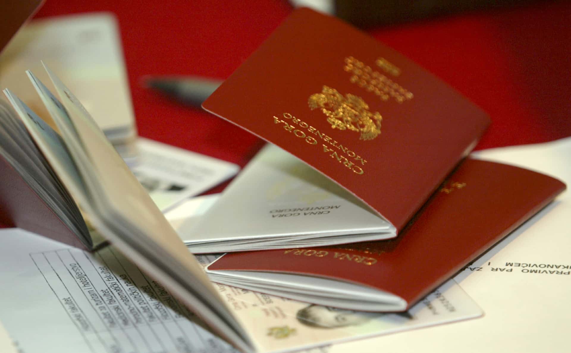 Черногория раскрыла имена россиян, получивших «золотые паспорта»