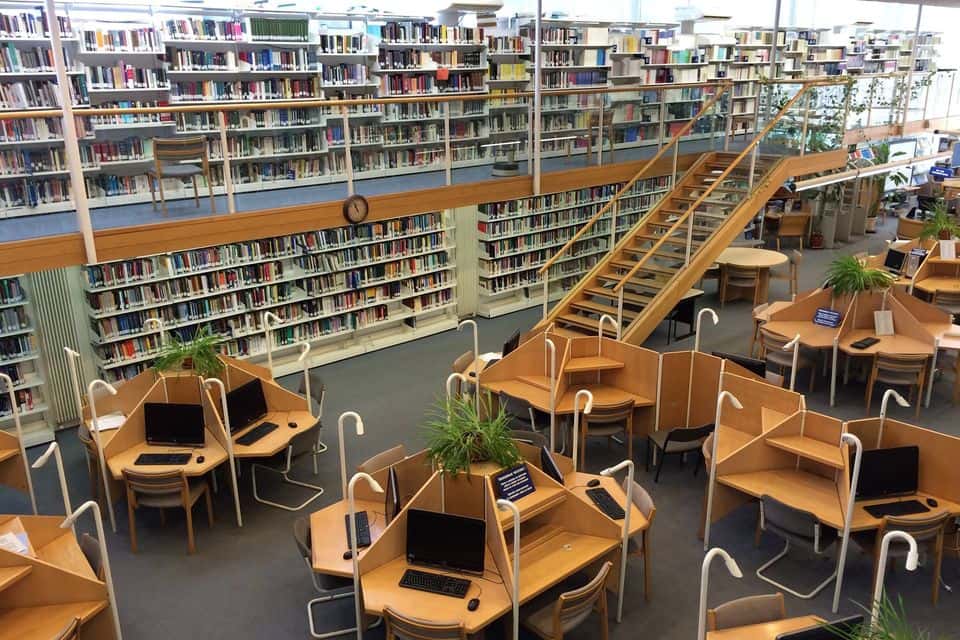 Шанинка закрыла факультет Liberal Arts. Весной прокуратура обвинила программу в «разрушении традиционных ценностей»