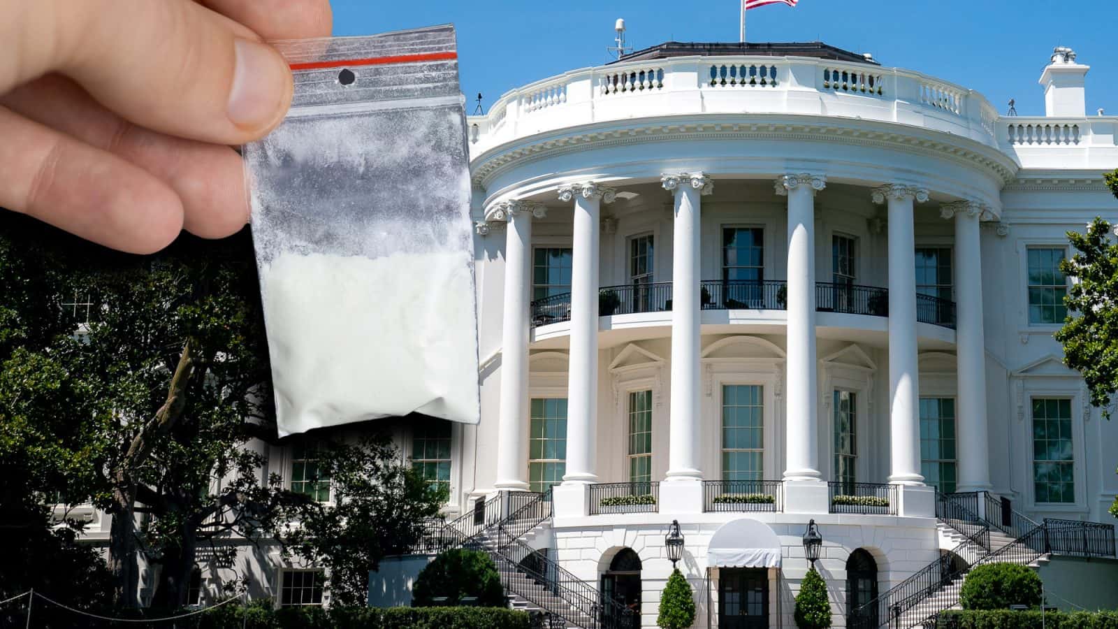 Фейк федеральных телеканалов: пакет с кокаином, найденный в Белом доме, принадлежал Хантеру Байдену