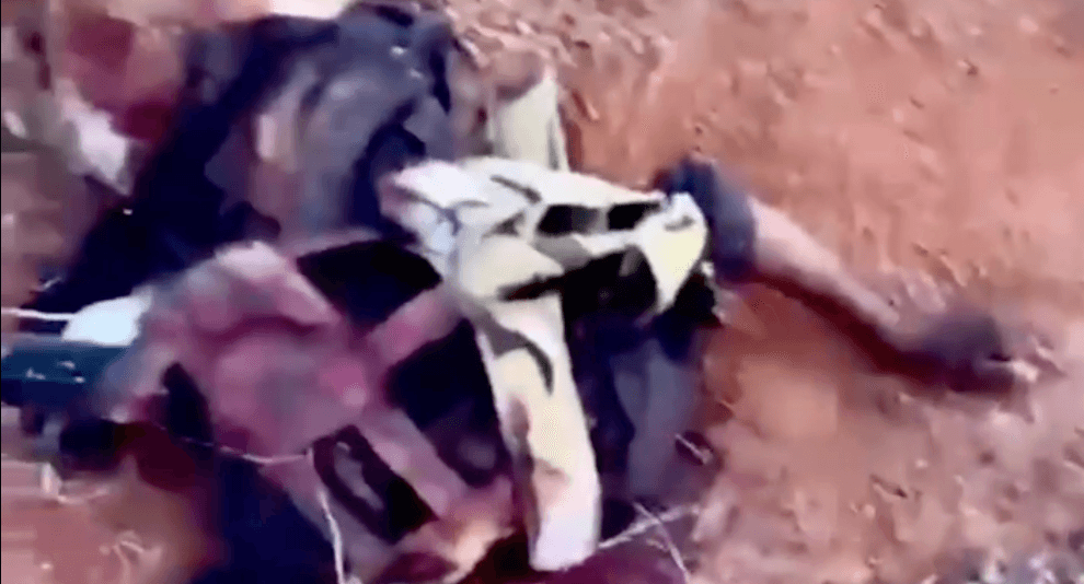 Близкие к ЧВК Вагнера каналы публикуют видео с обезглавленными трупами на севере Мали. Утверждается, что это боевики «Аль-Каиды»