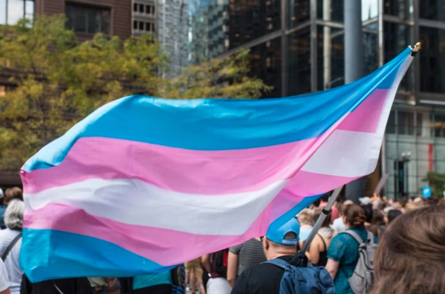 Транспереход туда и обратно. Как трансгендерные люди на Западе отстояли свои права и снова подверглись дискриминации