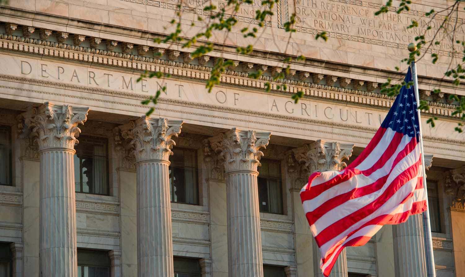 США в ноябре не выдадут пособия на продукты для малоимущих из-за приостановки работы правительства